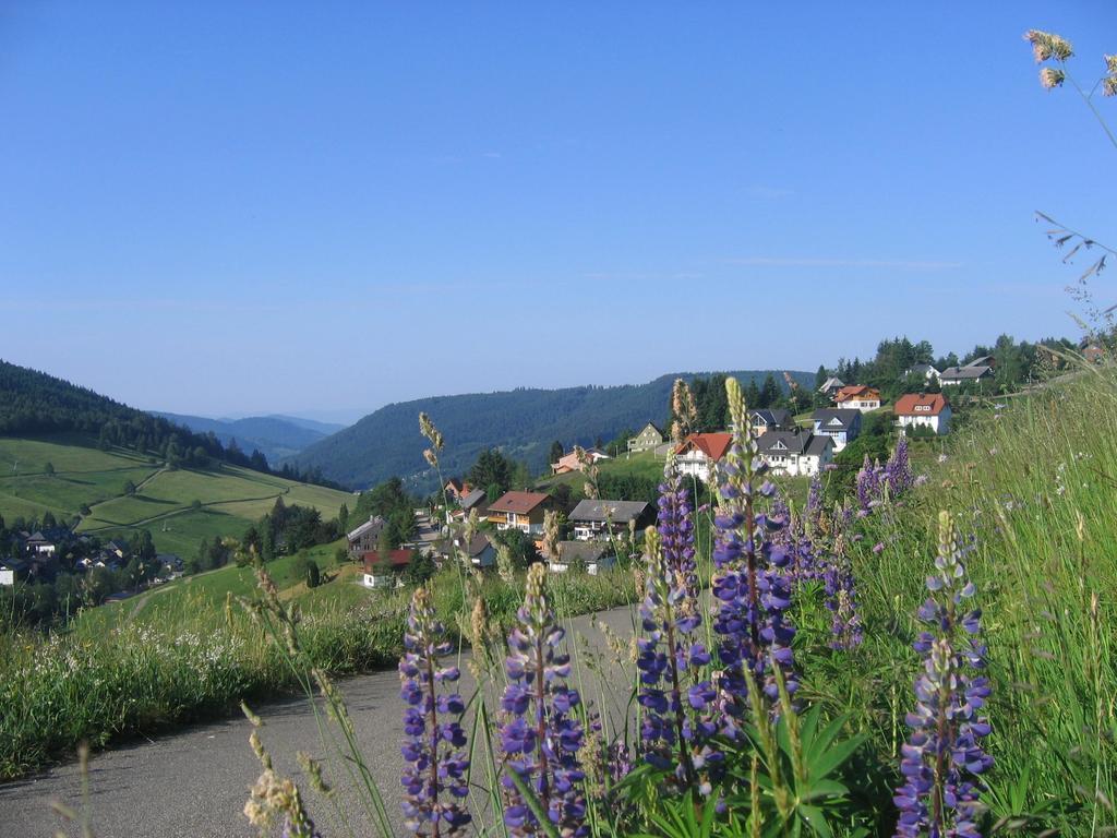 Haus Keller Ferienwohnungen Todtnauberg Exterior photo