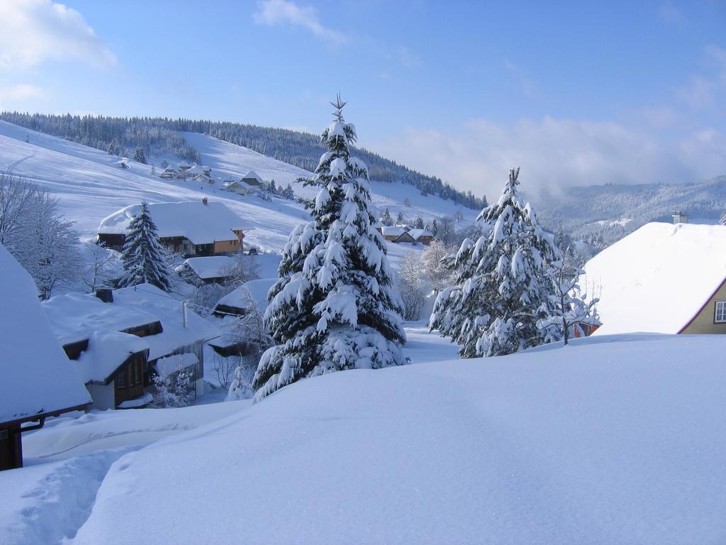 Haus Keller Ferienwohnungen Todtnauberg Exterior photo